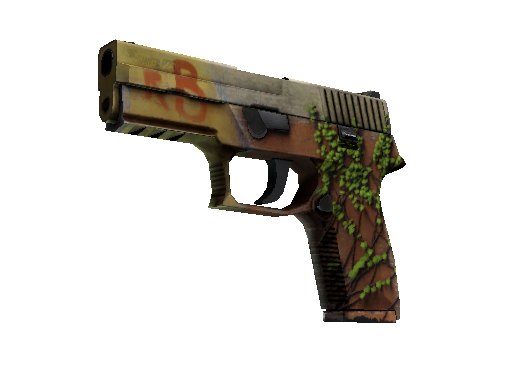 P250 | Inferno (Field-Tested)