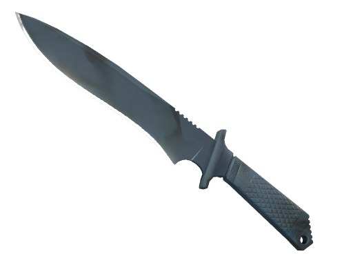 ★ Classic Knife | Night Stripe (Minimal Wear)