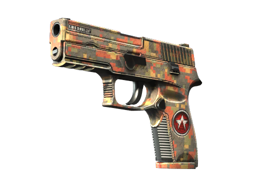 P250 | Red Rock (Minimal Wear)