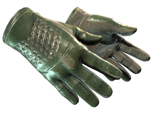 ★ Driver Gloves | Racing Green (Well-Worn)