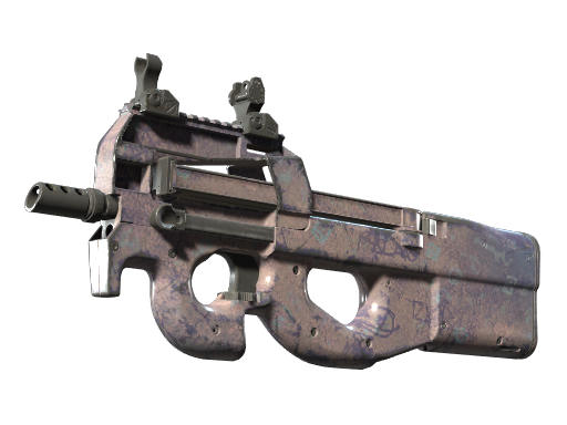 Souvenir P90 | Wash me (Well-Worn)