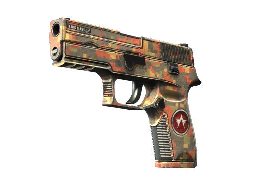 P250 | Red Rock (Field-Tested)