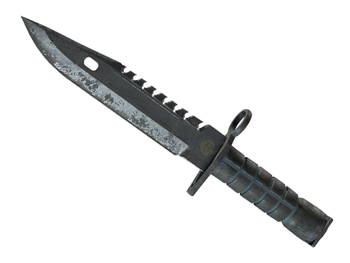 ★ M9 Bayonet | Night (Battle-Scarred)