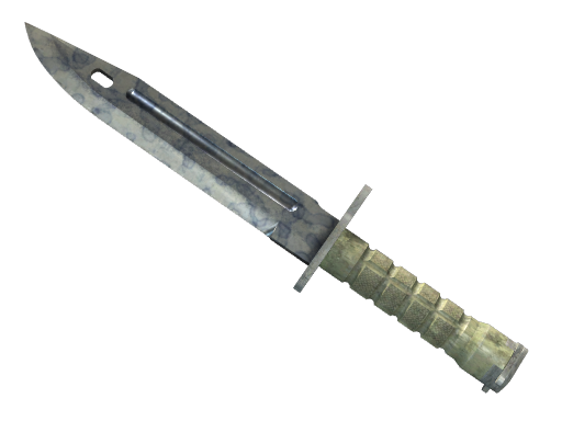 ★ Bayonet | Stained (Well-Worn)