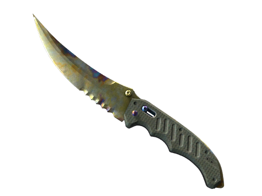 ★ Flip Knife | Case Hardened (Well-Worn)