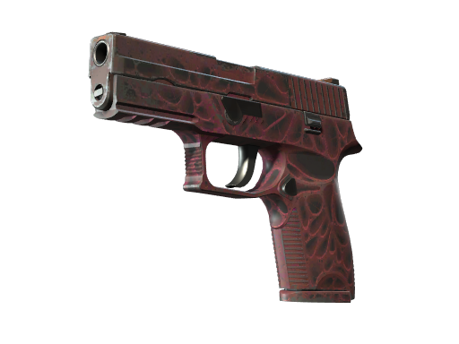 StatTrak™ P250 | Contaminant (Field-Tested)