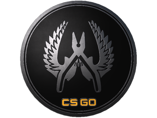 Guardian Elite Pin