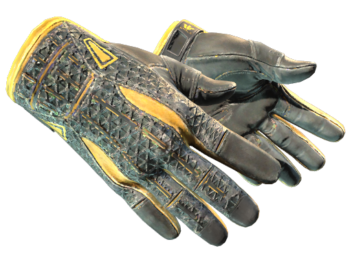 ★ Sport Gloves | Omega (Well-Worn)