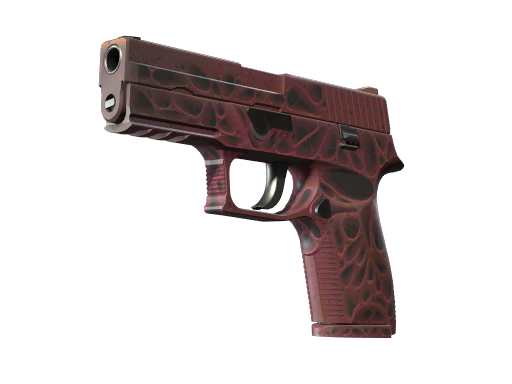 StatTrak™ P250 | Contaminant (Factory New)