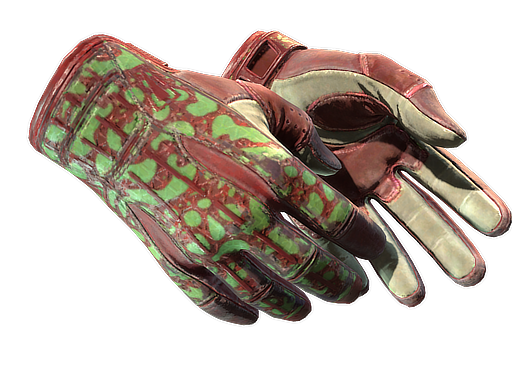 ★ Sport Gloves | Bronze Morph (Field-Tested)