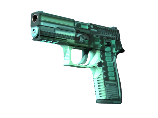 StatTrak™ P250 | X-Ray (Factory New)