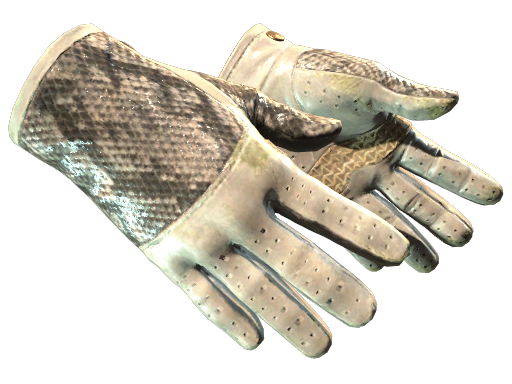 ★ Driver Gloves | King Snake (Field-Tested)