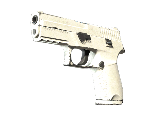 P250 | Whiteout (Field-Tested)