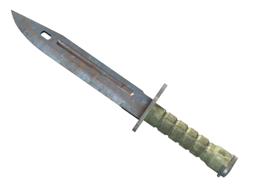 ★ Bayonet | Rust Coat (Well-Worn)