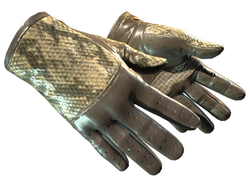 ★ Driver Gloves | Diamondback (Field-Tested)