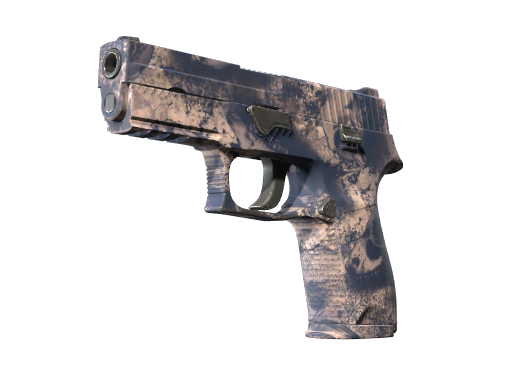 P250 | Drought (Factory New)