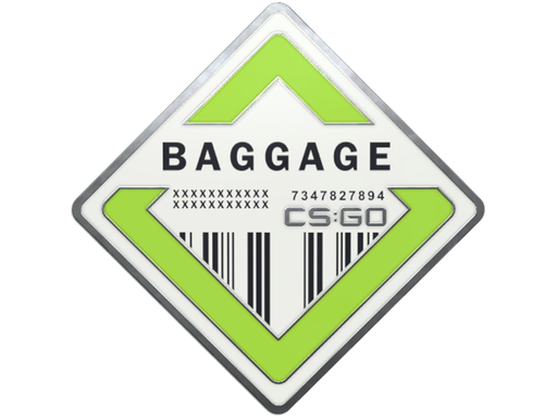 Baggage Pin