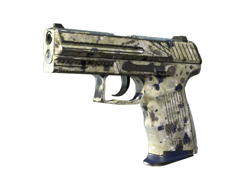 P2000 | Granite Marbleized (Well-Worn)