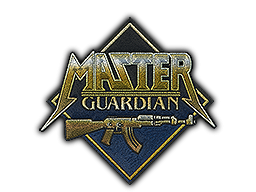 Patch | Metal Master Guardian