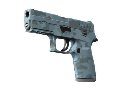 P250 | Forest Night (Minimal Wear)