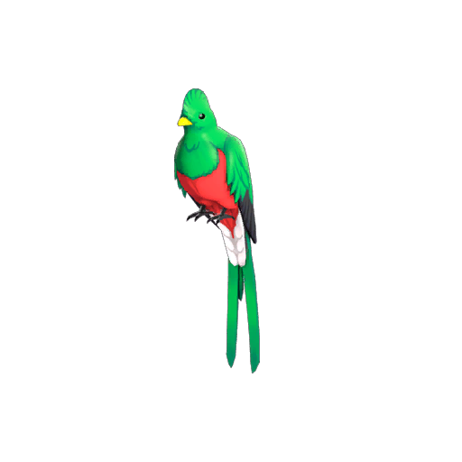 Strange Quizzical Quetzal