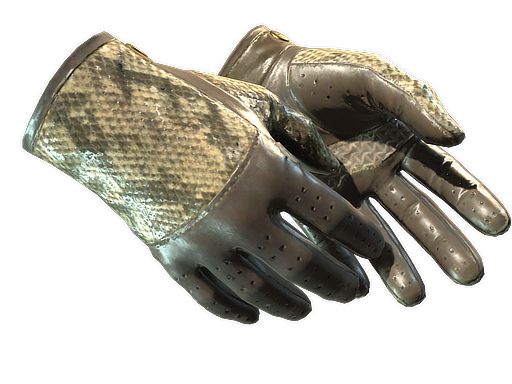 ★ Driver Gloves | Diamondback (Well-Worn)
